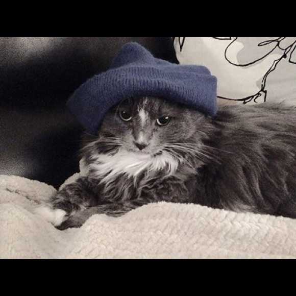 Meet your Posher, Cassie - Picture 4 of 8